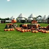Bulitz Pumpkin Farm photo