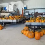 Bulitz Pumpkin Farm photo
