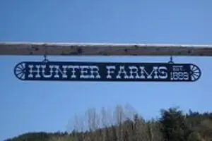 Hunter Farms Pumpkin Patch