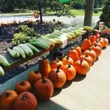 Karefree Produce photo
