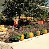 Karefree Produce photo