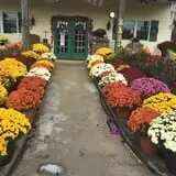 Karefree Produce photo