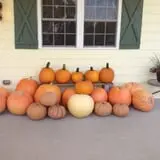 Karefree Produce photo