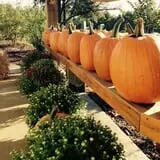 Karefree Produce photo