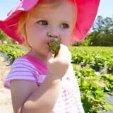 Karefree Produce photo