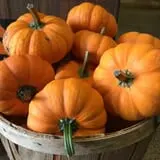 Karefree Produce photo