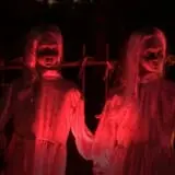 Demented Twins