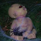Boston Haunted Manor photo