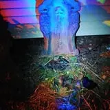 Boston Haunted Manor photo