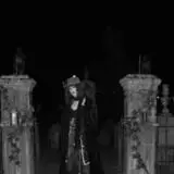 Boston Haunted Manor photo