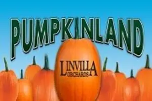 Linvilla Orchards Pumpkinland and Hayrides
