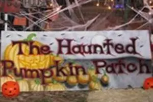 The Haunted Pumpkin Patch