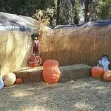 The Haunted Pumpkin Patch photo