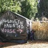 The Haunted Pumpkin Patch photo
