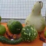 Mello's Farm and Flower Center photo