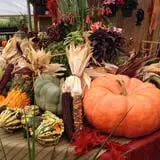 Mello's Farm and Flower Center photo