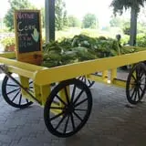 Mello's Farm and Flower Center photo