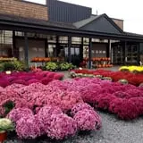 Mello's Farm and Flower Center photo