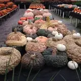 Mello's Farm and Flower Center photo