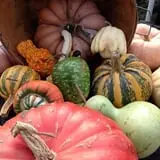 Mello's Farm and Flower Center photo