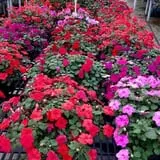 Mello's Farm and Flower Center photo