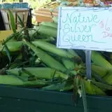 Mello's Farm and Flower Center photo