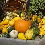 Mello's Farm and Flower Center photo