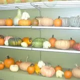 Mello's Farm and Flower Center photo