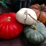 Mello's Farm and Flower Center photo