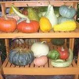 Mello's Farm and Flower Center photo