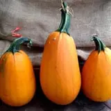 Mello's Farm and Flower Center photo