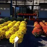 Mello's Farm and Flower Center photo