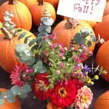 Mello's Farm and Flower Center photo