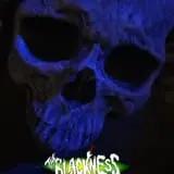 The Blackness Haunted House photo
