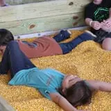 Partin Ranch Corn Maze photo
