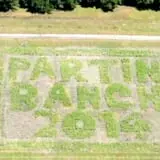 Partin Ranch Corn Maze photo