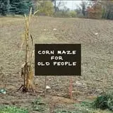 Partin Ranch Corn Maze photo