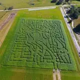 Partin Ranch Corn Maze photo