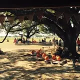 Partin Ranch Corn Maze photo