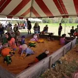 Partin Ranch Corn Maze photo