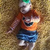 Partin Ranch Corn Maze photo