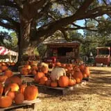 Partin Ranch Corn Maze photo