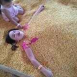 Partin Ranch Corn Maze photo
