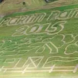 Partin Ranch Corn Maze photo