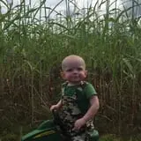 Partin Ranch Corn Maze photo