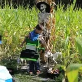 Partin Ranch Corn Maze photo