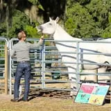 Partin Ranch Corn Maze photo