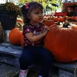 Partin Ranch Corn Maze photo