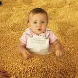 Partin Ranch Corn Maze photo