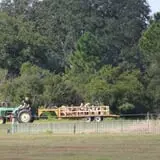 Partin Ranch Corn Maze photo